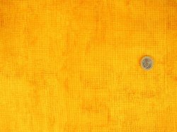Jennifer Sampou Chalk and Charcoal Marigold