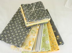 Kleines Stoffpaket Corey Yoder Buttercup and Slate