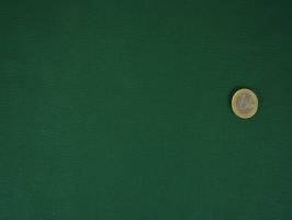 Bella Solids Christmas Green