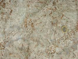 Mallard Batik